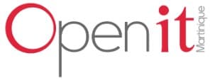 Logo Open IT 972